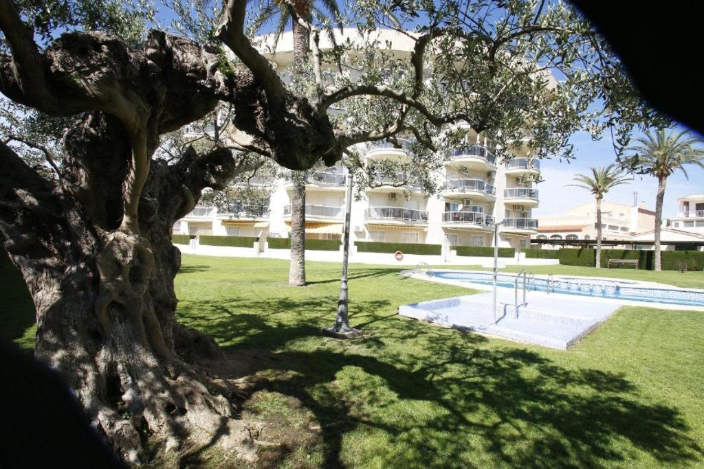 Apartamento Family Miami Playa Eksteriør bilde